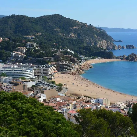 Apartment Miquel 2 De 4 Pax Wifi Y Pk *